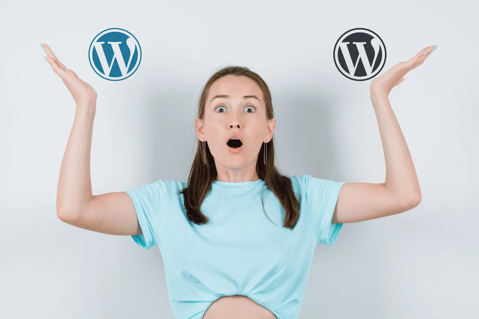 Diferencia entre WordPress.com y WordPress.org
