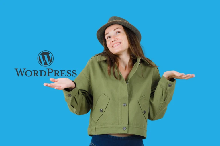 ¿QUÉ ES UN PLUGIN PARA WORDPRESS?